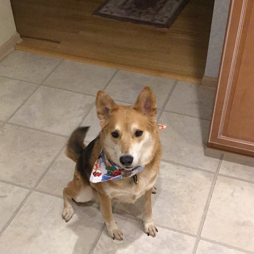 ALL ITEMS BEYOND THIS POINT HAVE BEEN SOLD➡️ THNX!